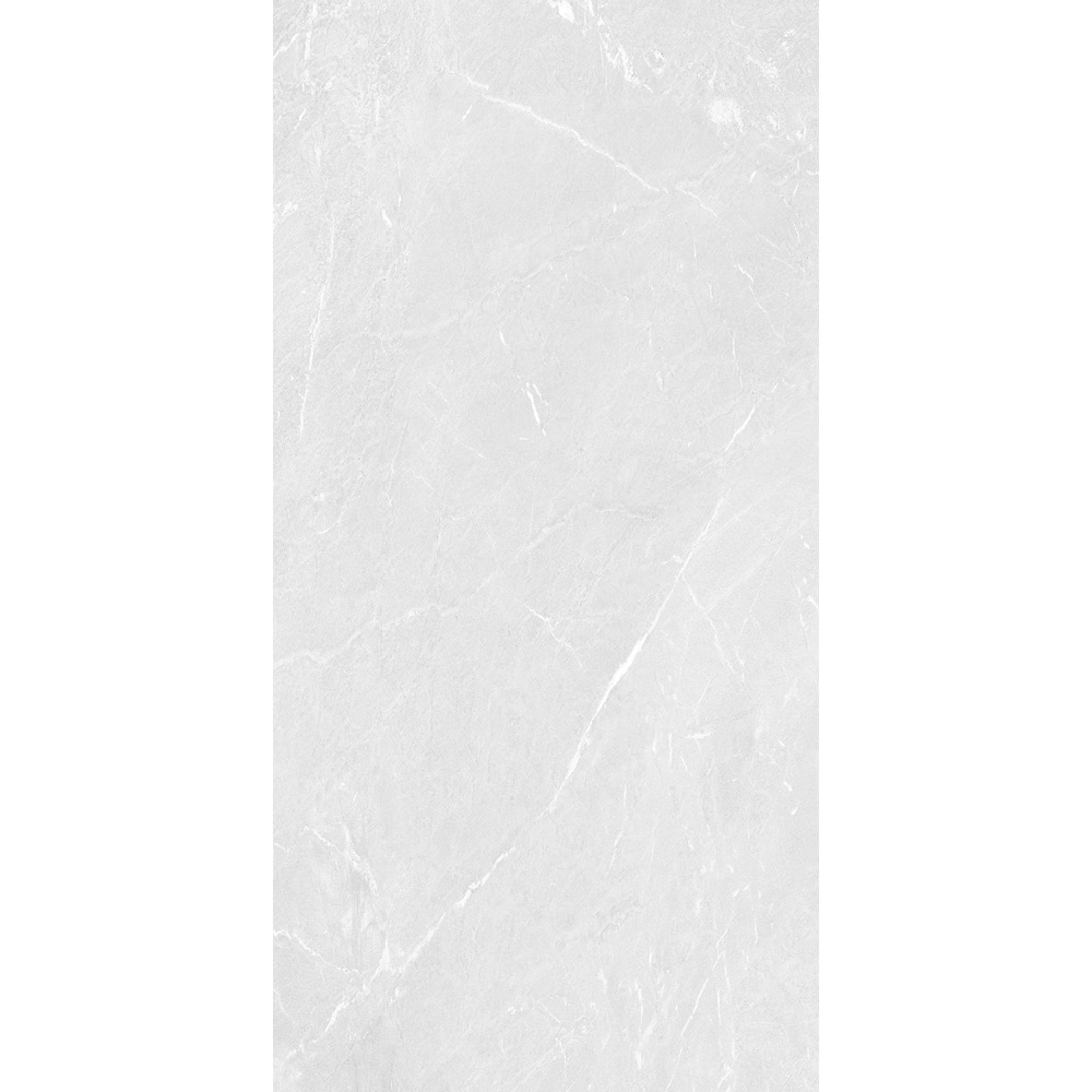 Armani Glazed Porcelain 821-14461, 80x160x1.0 Oryx Glos Pol L